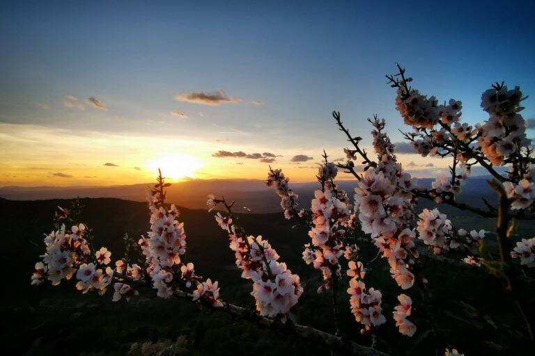 Chambres d'hôtes Mas Notre Dame Grospierres Ardèche